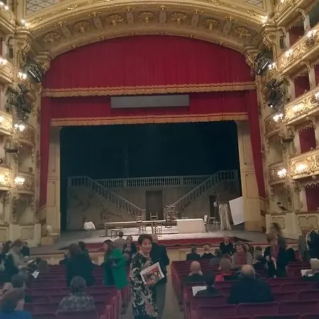 Massarotti 44