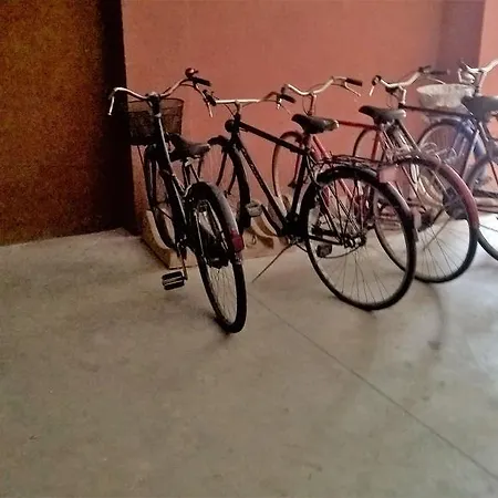 Massarotti 44 *